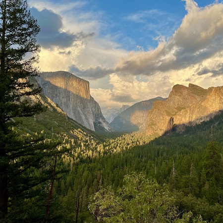 ヨセミテ記１  Day１-４