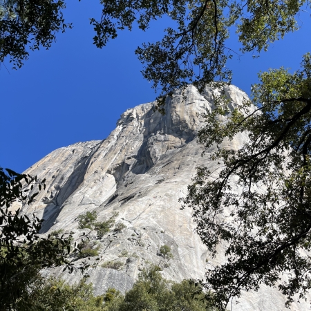 ヨセミテ記３ Day 7-11