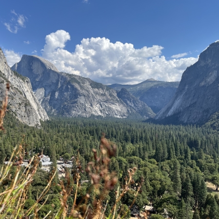 ヨセミテ記２ Day５-６